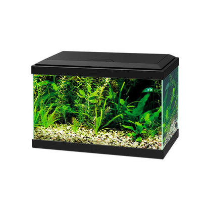 Ciano Aqua 20 Aquarium - Black - Charterhouse Aquatics