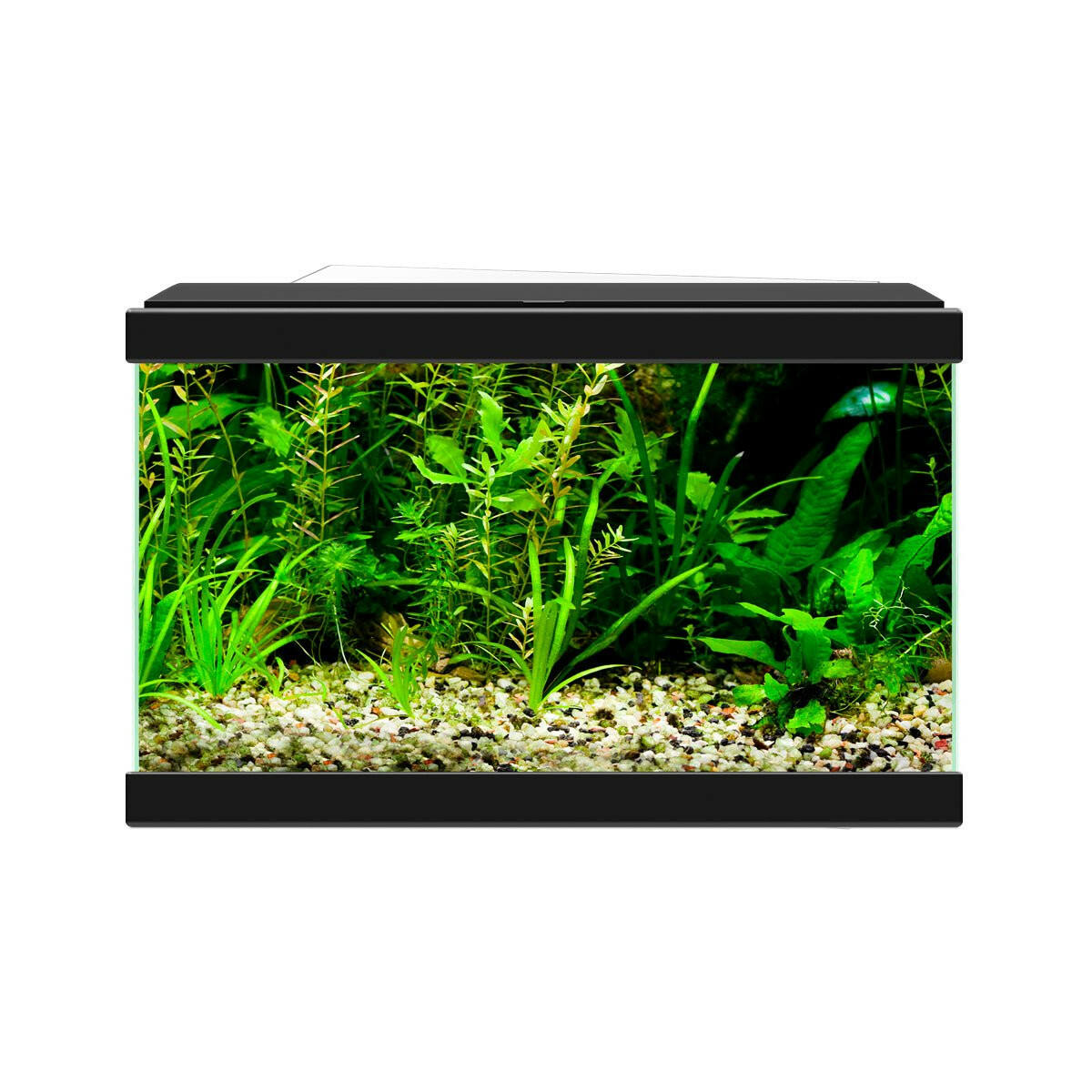 Ciano Aqua 20 Aquarium - Black - Charterhouse Aquatics