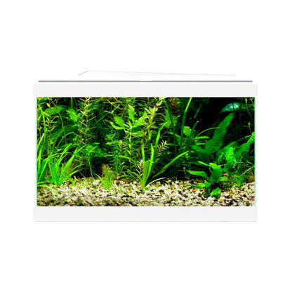 Ciano Aqua 20 Aquarium - White - Charterhouse Aquatics