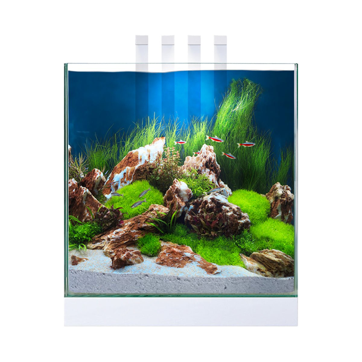 Ciano Nexus Pure 25 Aquarium - Charterhouse Aquatics