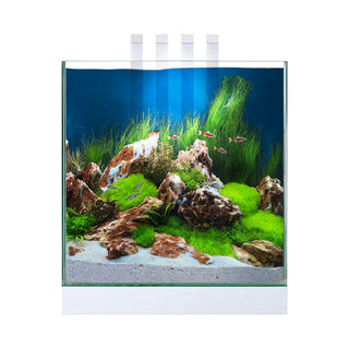 Ciano Nexus Pure 25 Aquarium - Charterhouse Aquatics