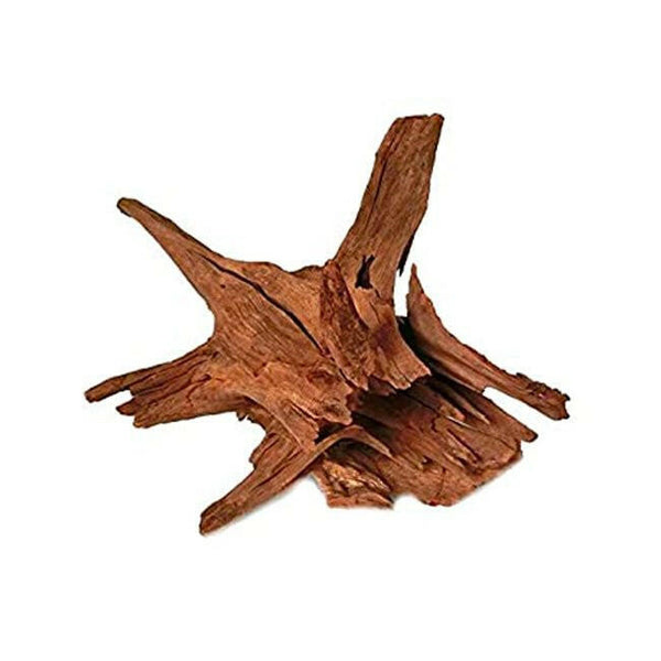 Corbo Catfish Root - 30-40cm - Charterhouse Aquatics