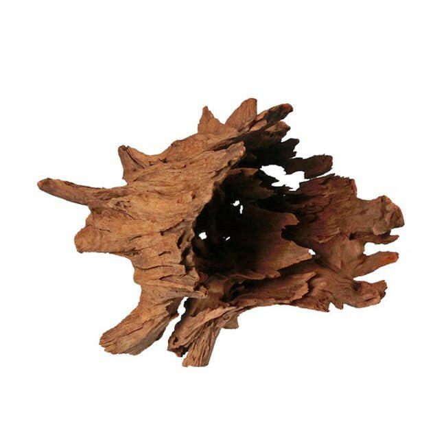 Corbo Catfish Root - 40-56cm - Charterhouse Aquatics