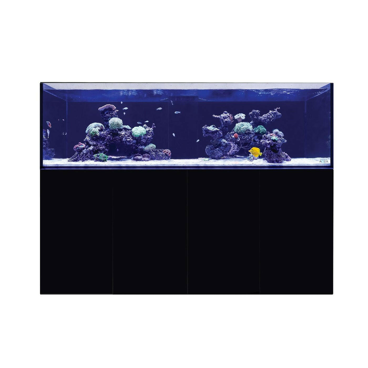 D-D Aqua-Pro Reef 1800 - Japanese Pear Gloss - AquaFrame Cabinet - Charterhouse Aquatics