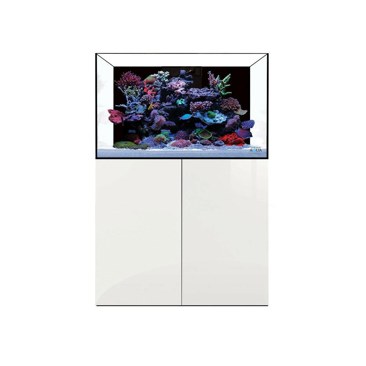 D-D Aqua-Pro Reef 900 - Gloss Black - Wooden Cabinet - Charterhouse Aquatics