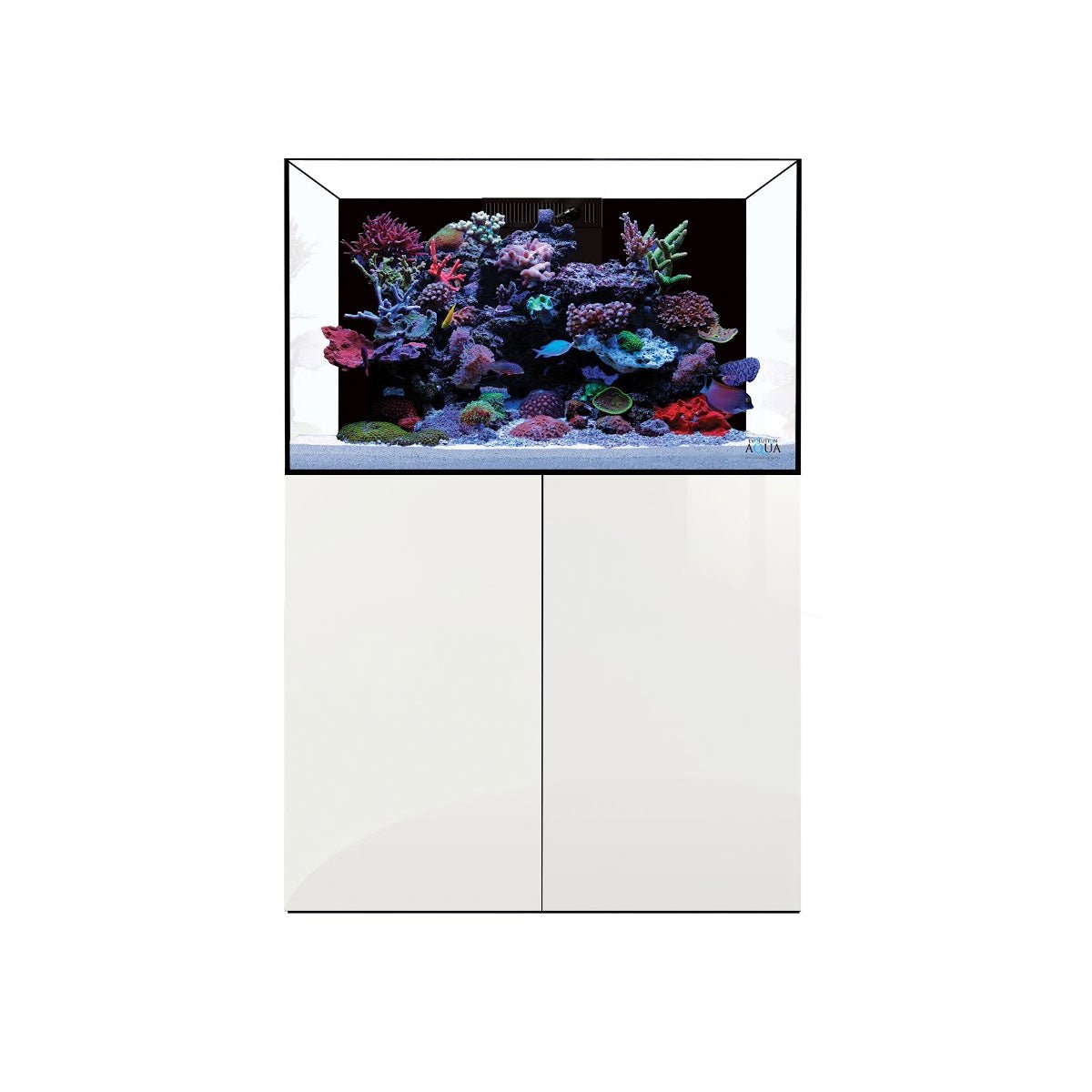 D-D Aqua-Pro Reef 900 - Gloss White - Wooden Cabinet - Charterhouse Aquatics