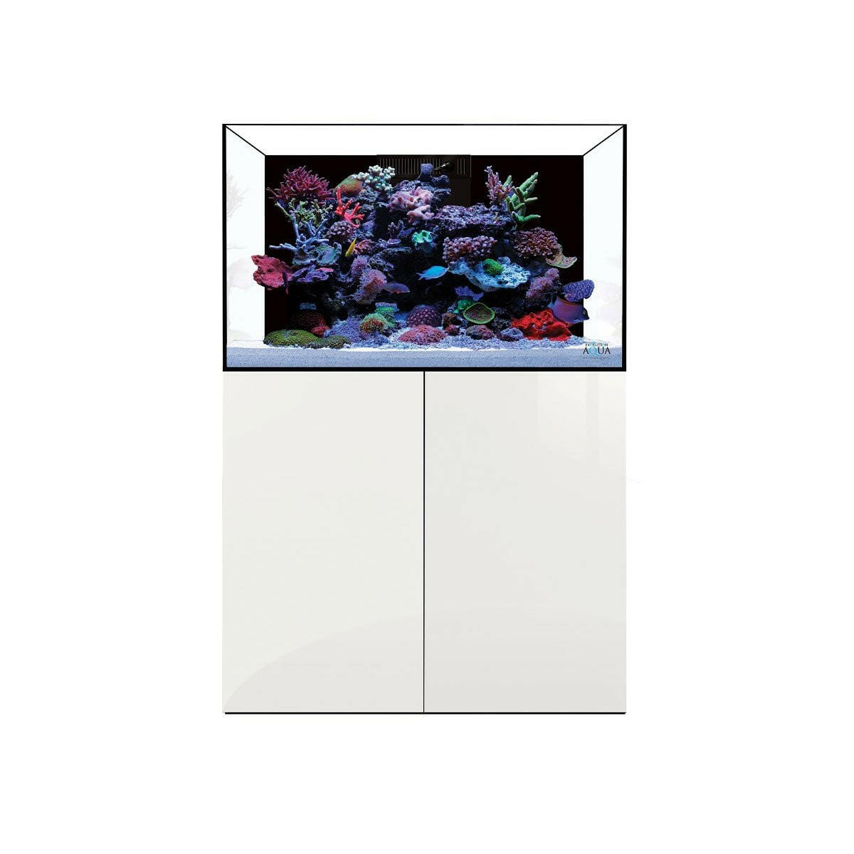 D-D Aqua-Pro Reef 900 - Japanese Pear Gloss - Wooden Cabinet - Charterhouse Aquatics