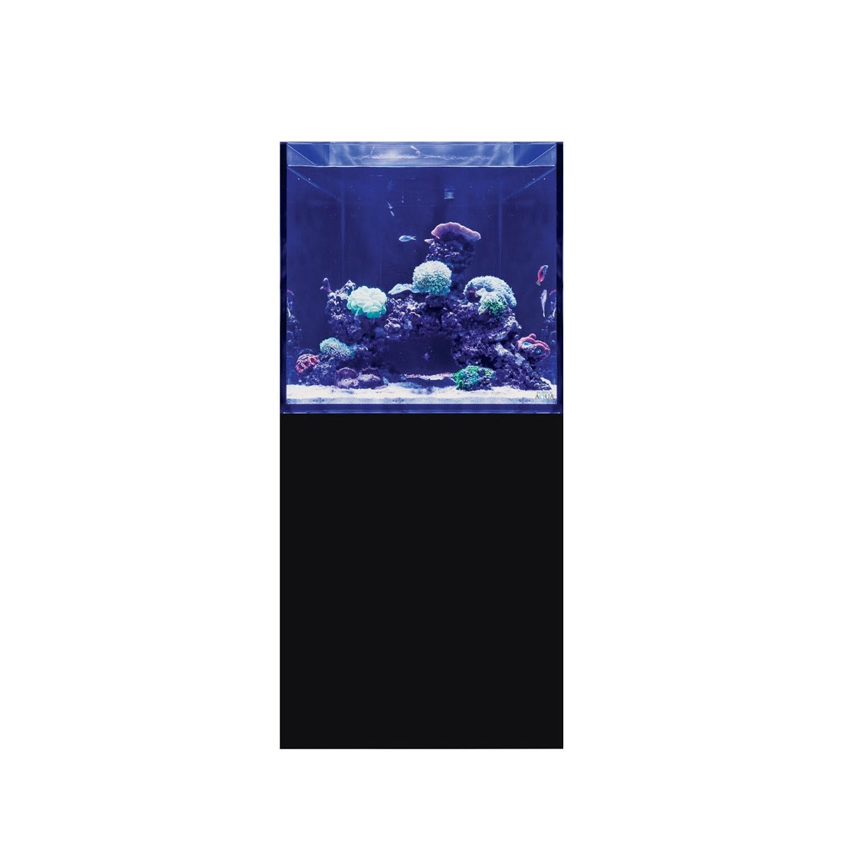 D-D Aqua-Pro Reef Cube 600 - Gloss Anthracite - Wooden Cabinet - Charterhouse Aquatics