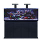 D-D Reef-Pro 1500s Deluxe Light Pack 1 - Black (Clarisea Sump/Black Lights) - Charterhouse Aquatics