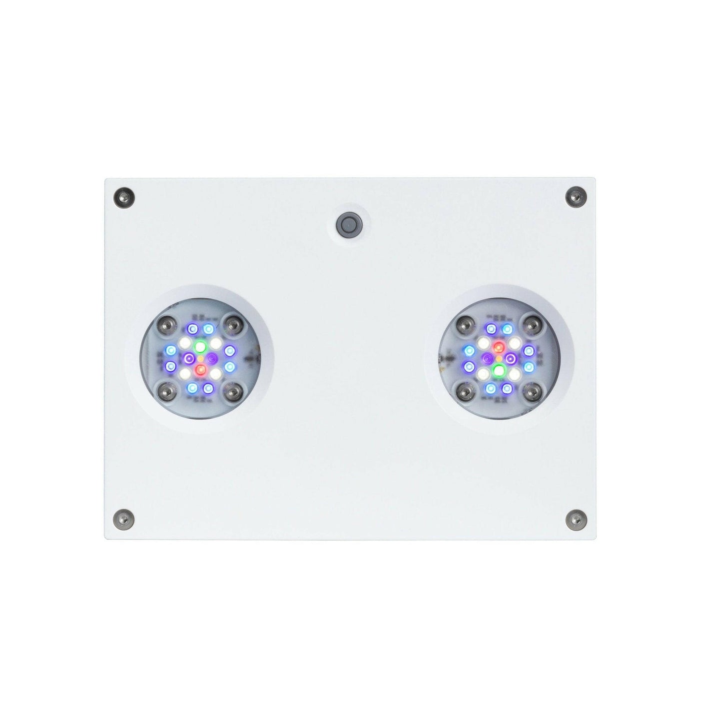 D-D Reef-Pro 1500s Deluxe Light Pack 1 - Platinum Oak (Standard Sump/White Lights) - Charterhouse Aquatics