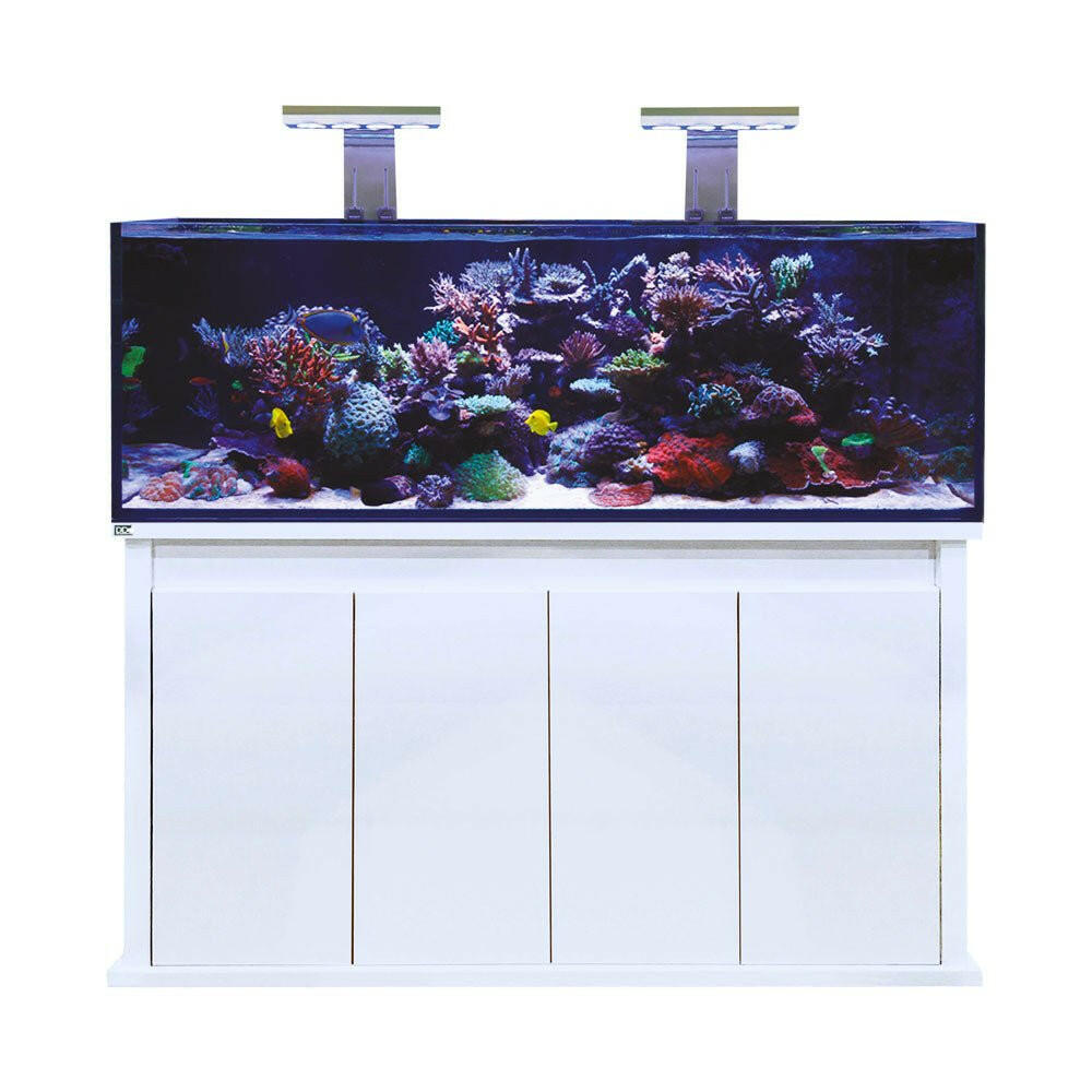 D-D Reef-Pro 1500s Deluxe Light Pack 1 - White (Clarisea Sump/Black Lights) - Charterhouse Aquatics