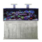 D-D Reef-Pro 1500s Deluxe Light Pack 2 - Concrete (Clarisea Sump/Black Lights) - Charterhouse Aquatics