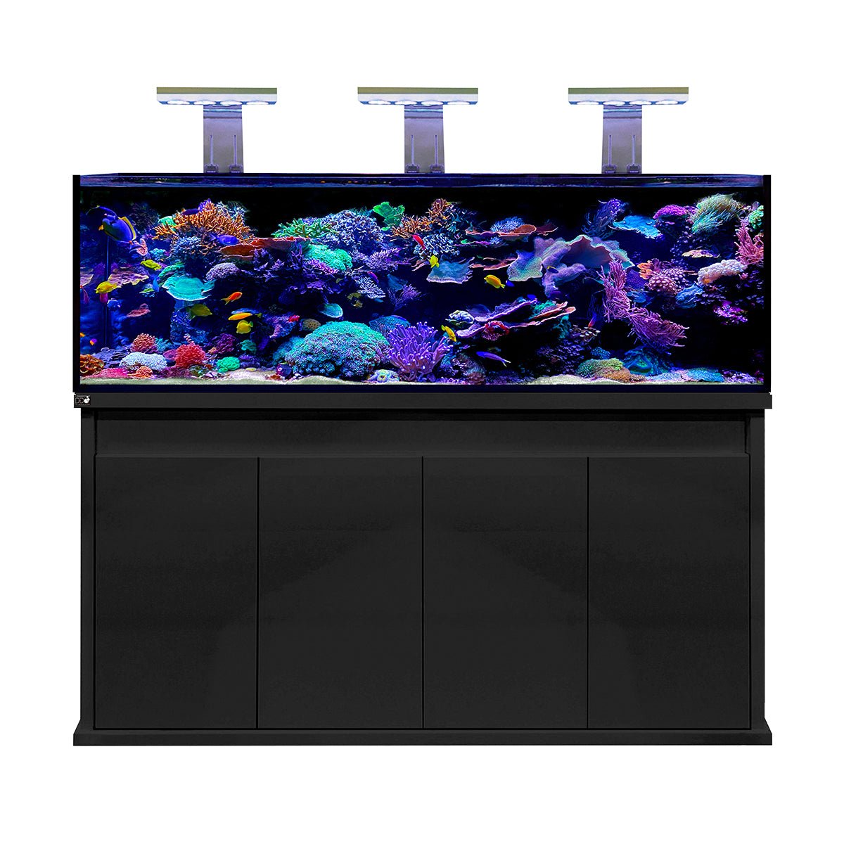 D-D Reef-Pro 1800 Deluxe Light Pack 1 - Gloss Black (Clarisea Sump/White Lights) - Charterhouse Aquatics