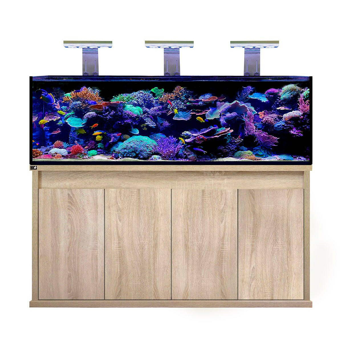 D-D Reef-Pro 1800 - Gloss Black (Standard Sump) - Charterhouse Aquatics