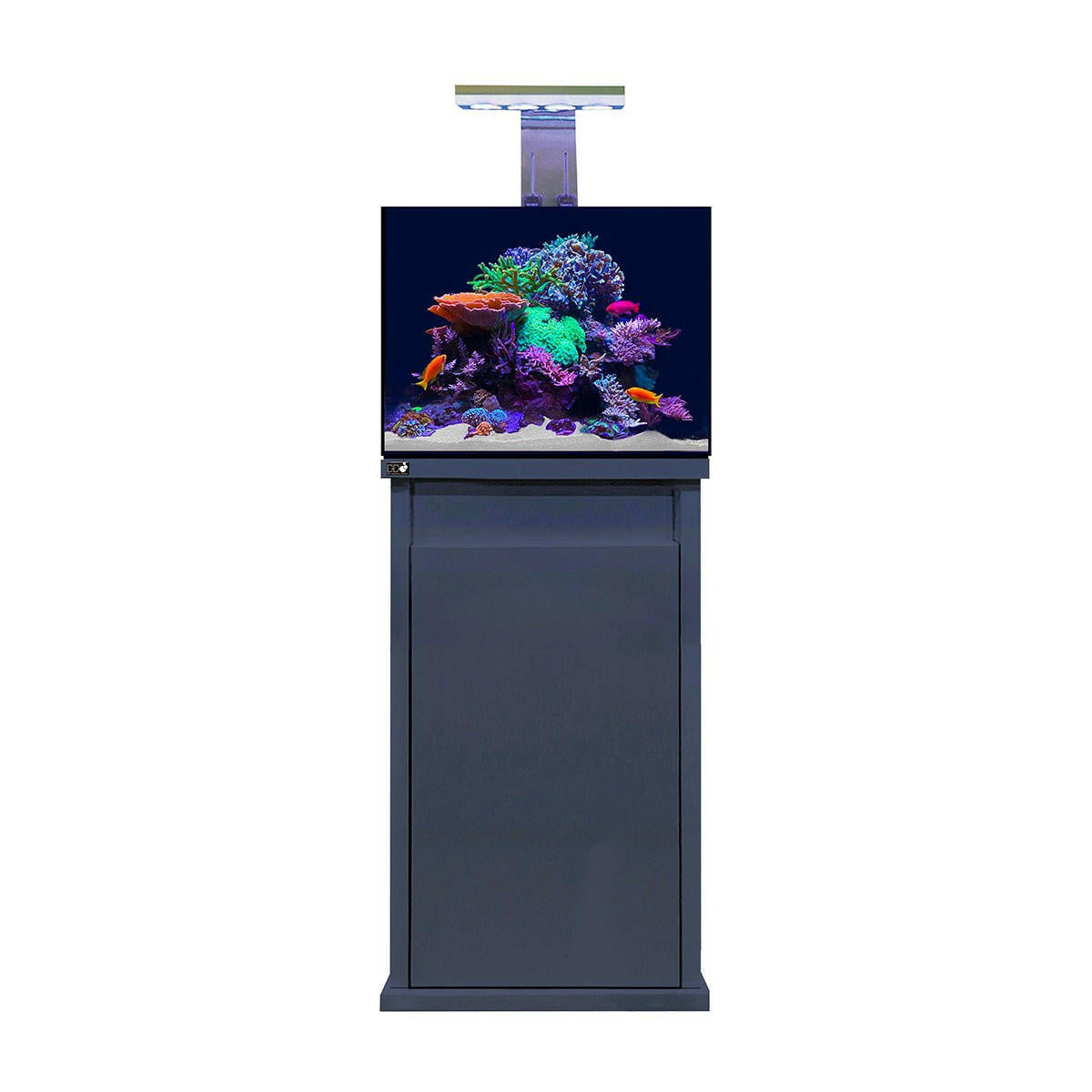 D-D Reef-Pro 600 - Gloss Black (Standard Sump) - Charterhouse Aquatics