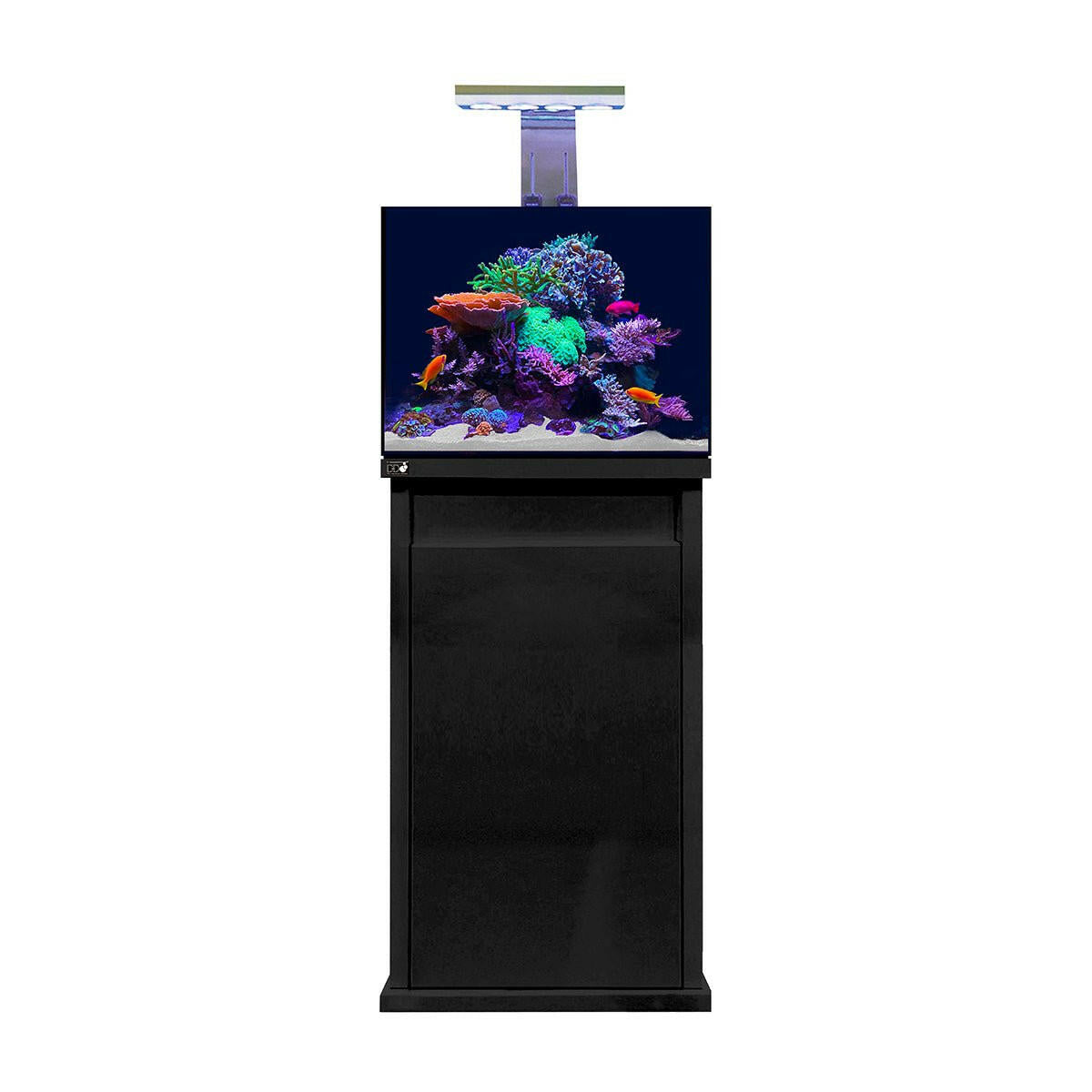 D-D Reef-Pro 600 - Gloss Black (Standard Sump) - Charterhouse Aquatics