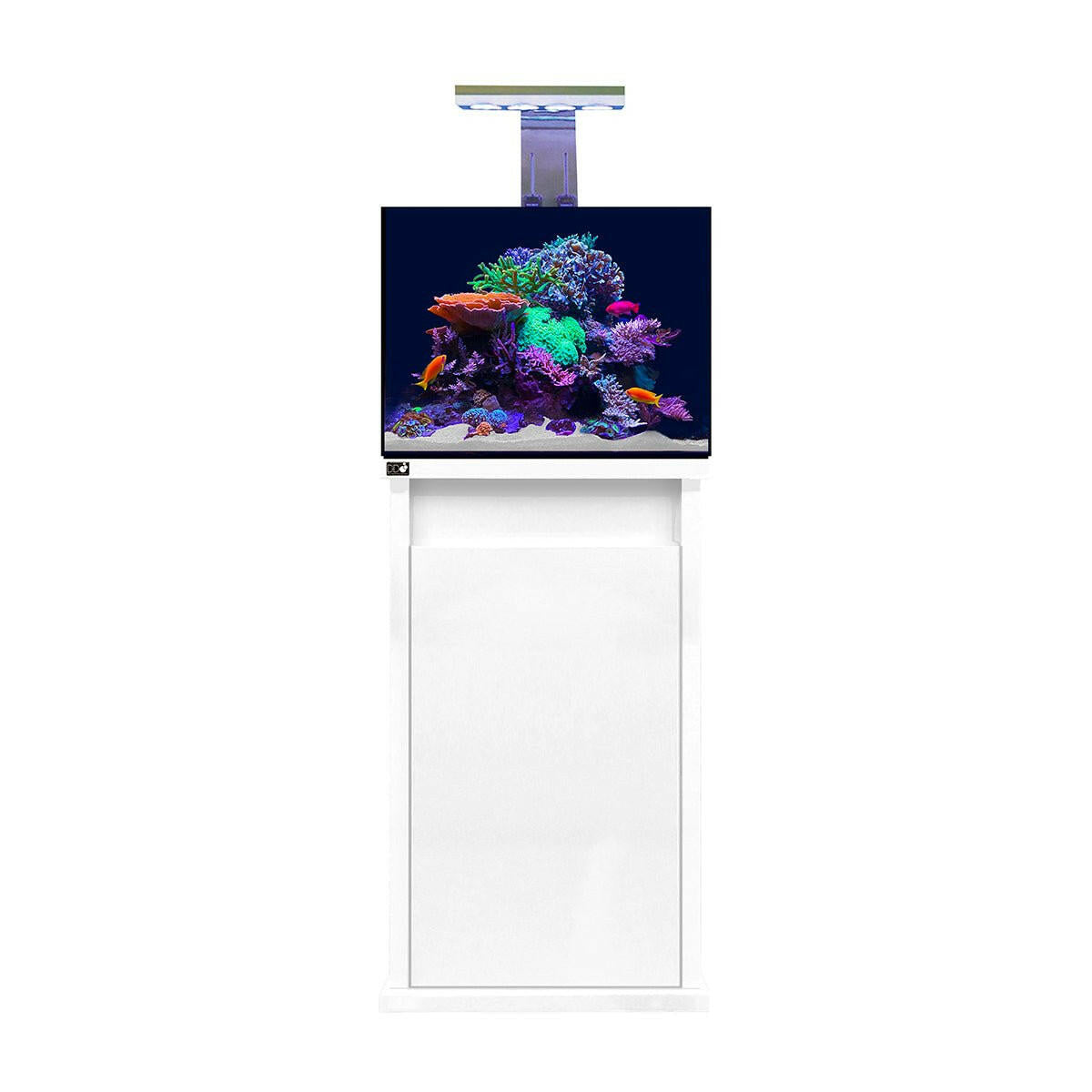 D-D Reef-Pro 600 - Gloss Black (Standard Sump) - Charterhouse Aquatics