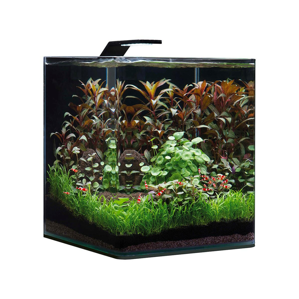 Nano Cube discount Dennerle 30L