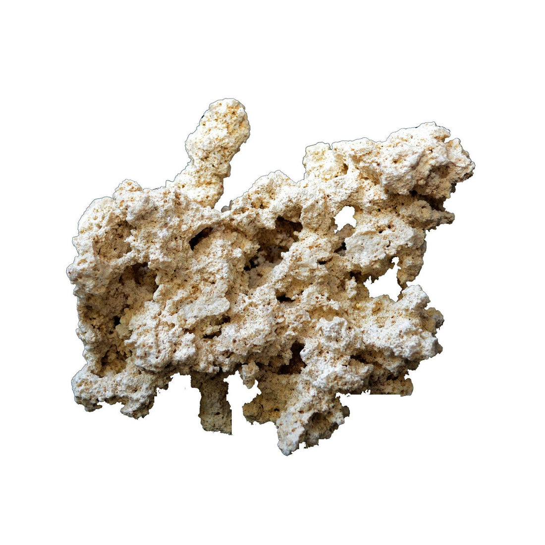 Natural Reef Rocks Dry Ocean Reef Rock 9-12cm - 20KG – Charterhouse Aquatics