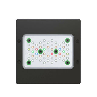 EcoTech Radion XR15 G5 Freshwater LED - Charterhouse Aquatics