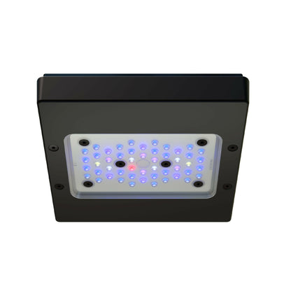 Ecotech Radion XR15w Blue G6 LED - Charterhouse Aquatics