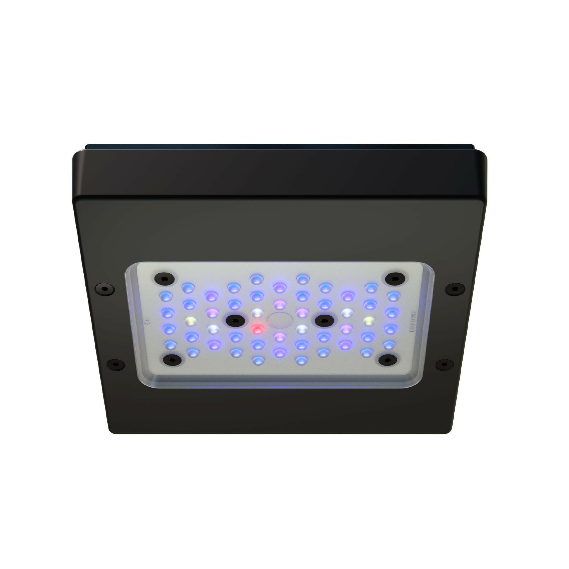 Ecotech Radion XR15w Blue G6 LED and Tank Mount - Charterhouse Aquatics