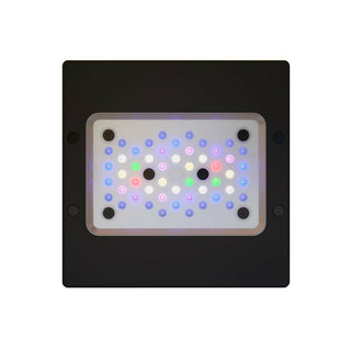 Ecotech Radion XR15w Pro G6 LED - Charterhouse Aquatics
