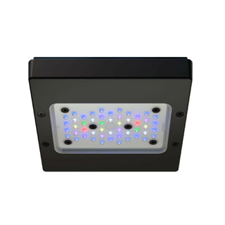 Ecotech Radion XR15w Pro G6 LED - Charterhouse Aquatics