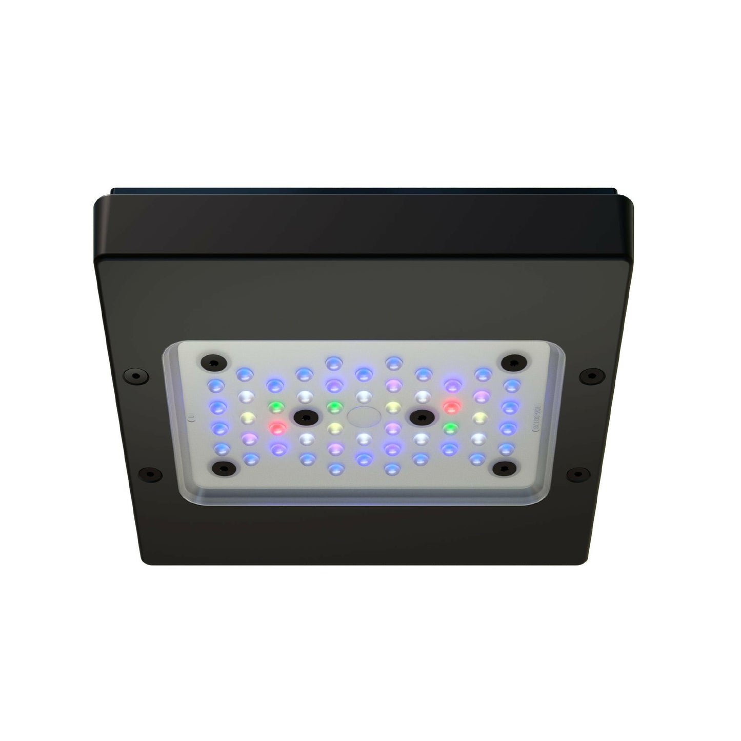 Ecotech Radion XR15w Pro G6 LED and Tank Mount - Charterhouse Aquatics