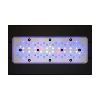 Ecotech Radion XR30w Blue G6 LED - Charterhouse Aquatics