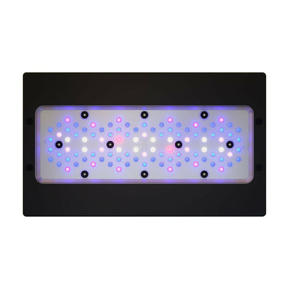 Ecotech Radion XR30w Blue G6 LED - Charterhouse Aquatics