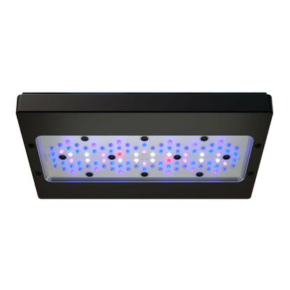 Ecotech Radion XR30w Blue G6 LED and Tank Mount - Charterhouse Aquatics