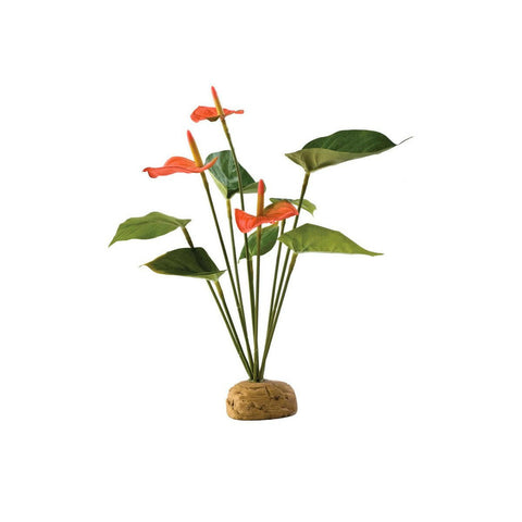 Exo Terra Anthurium Bush - Charterhouse Aquatics