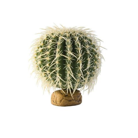 Exo Terra Barrel Cactus Medium - Charterhouse Aquatics