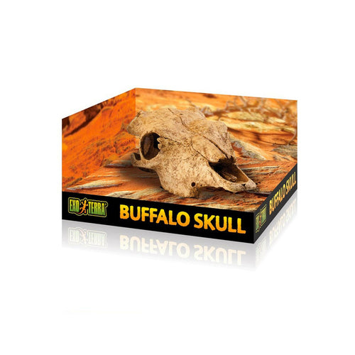 Exo Terra Buffalo Skull - Charterhouse Aquatics