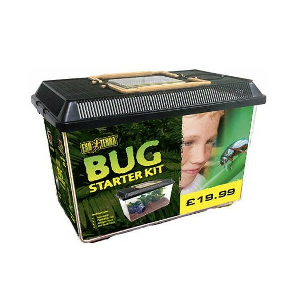 Exo Terra Bug Starter Kit - Charterhouse Aquatics