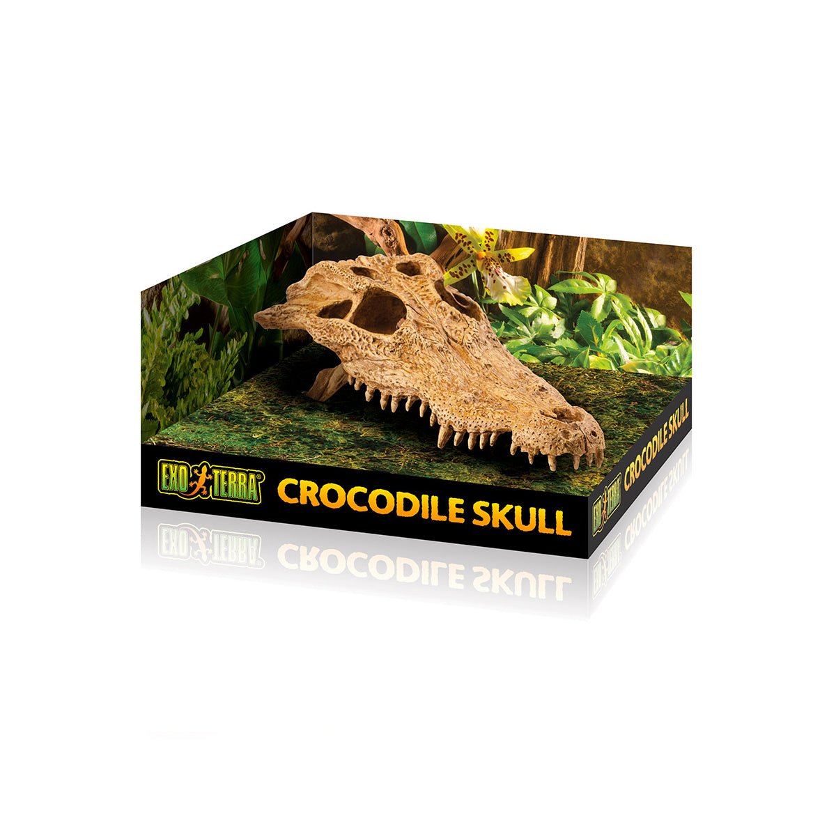 Exo Terra Crocodile Skull - Charterhouse Aquatics