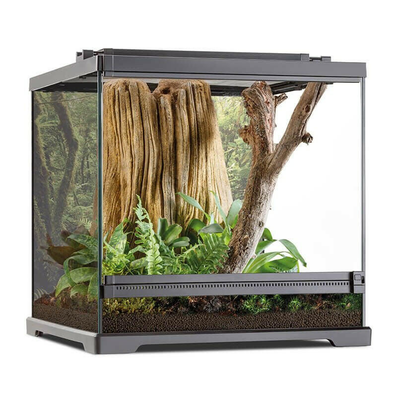 Exo Terra Dart Frog Terrarium 45x45x45cm - Charterhouse Aquatics