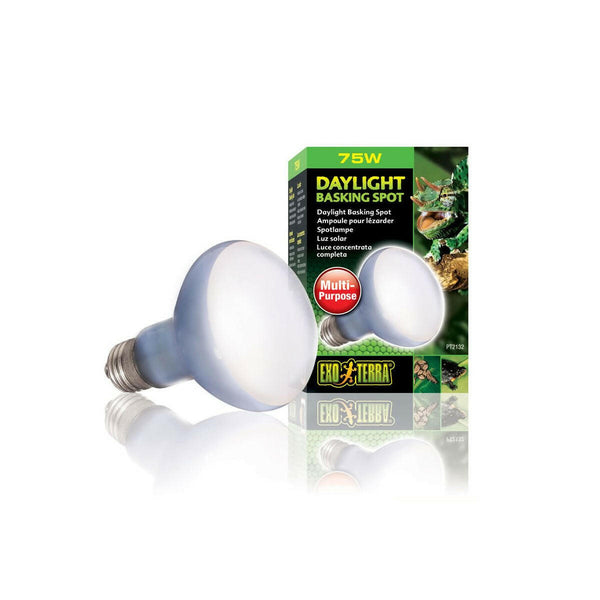 Exo Terra Daylight Basking Spot 75W – Charterhouse Aquatics