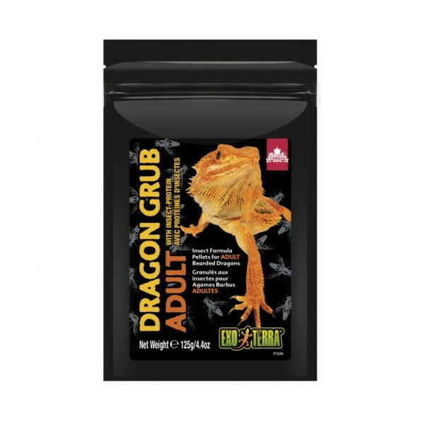 Exo Terra Dragon Grub Adult 125g - Charterhouse Aquatics