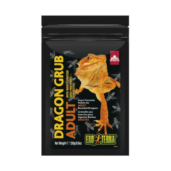 Exo Terra Dragon Grub Adult 250g - Charterhouse Aquatics