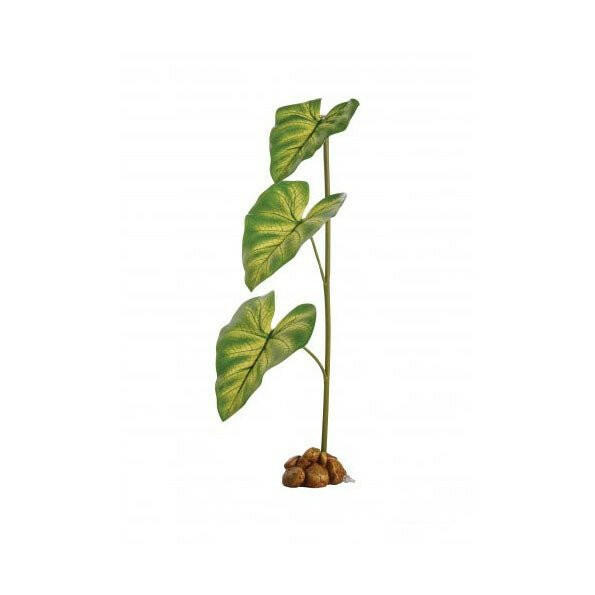 Reptile dripper plant top
