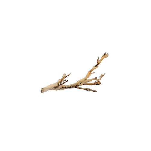 Exo Terra Forest Branch Small - Charterhouse Aquatics