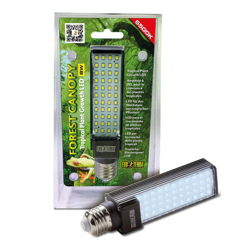 Exo Terra Forest Canopy LED 8W - Charterhouse Aquatics