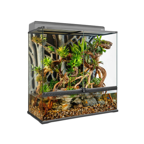Exo Terra Glass Paludarium Large X-Tall - 90x45x90cm - Charterhouse Aquatics