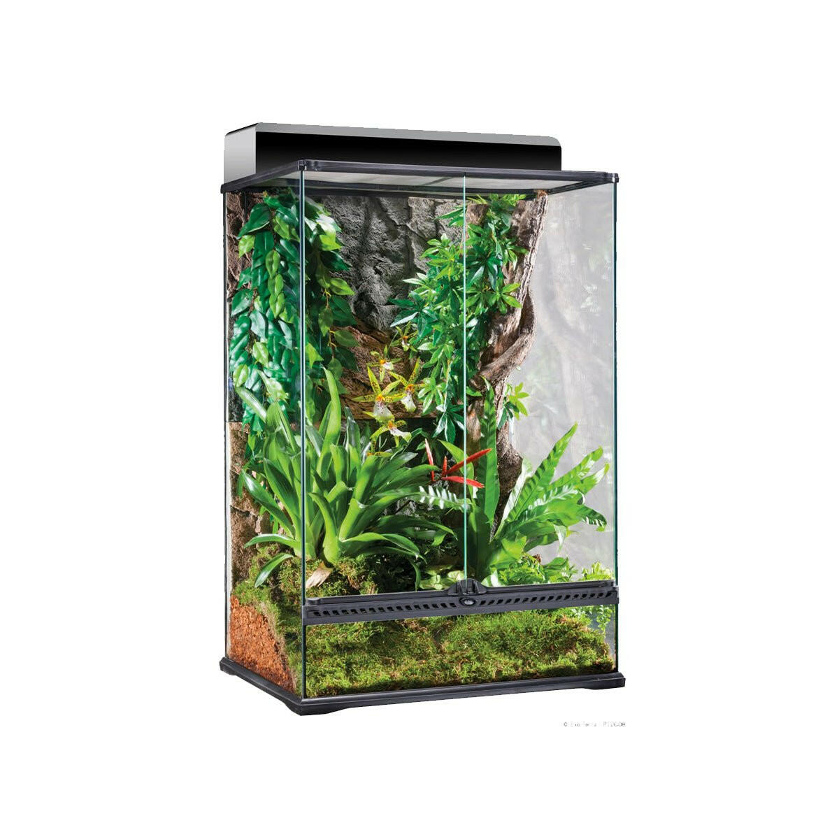 Exo Terra Glass Paludarium Medium X-Tall - 60x45x90cm