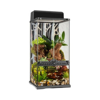 Exo Terra Glass Paludarium Mini X-Tall - 30x30x60cm - Charterhouse Aquatics