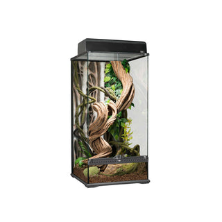 Exo Terra Glass Paludarium Small X-Tall - 45x45x90cm - Charterhouse Aquatics