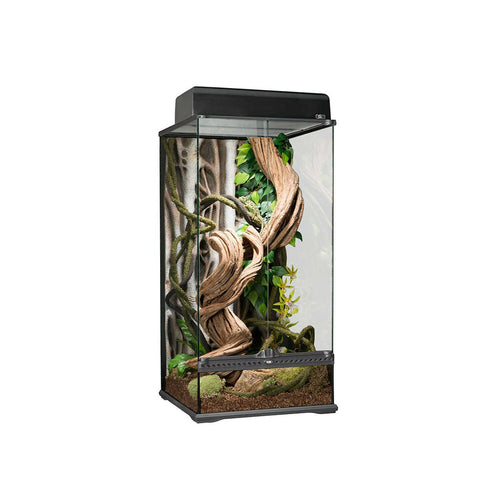 Exo Terra Glass Paludarium Small X-Tall - 45x45x90cm - Charterhouse Aquatics