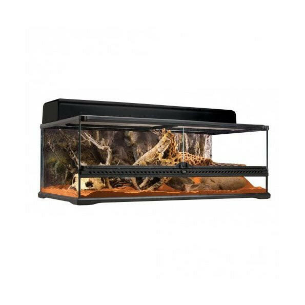 Exo Terra Glass Terrarium Large Low - 90x45x30cm - Charterhouse Aquatics